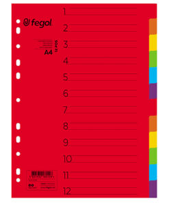 Separador Cartolina A4 12 Posições PAJORY Cores